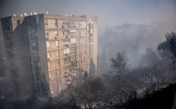 В Хайфе из-за лесных пожаров эвакуированы 50 тыс. человек